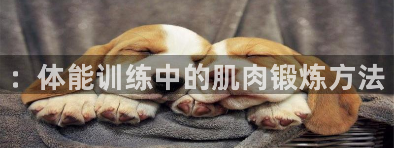 JJB竞技宝官网下载招商电话是多少：：体能训练中的肌