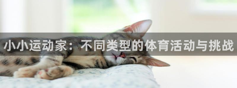 JJB竞技宝官网下载招商电话号码查询是多少：小小运动