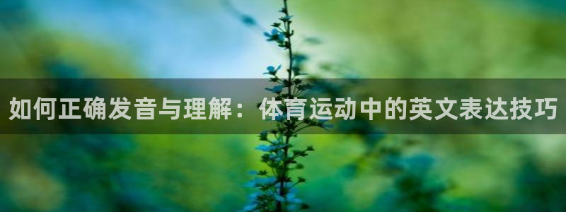 海南JJB竞技宝官网下载：如何正确发音与理解：体育运