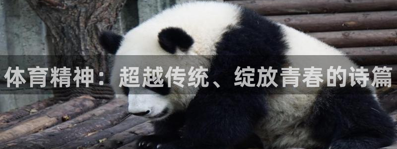 JJB竞技宝官方正版app新能源：体育精神：超越传统
