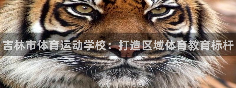 JJB竞技宝官网下载平台注册流程视频：吉林市体育运动
