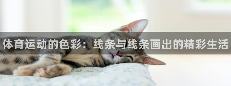 JJB竞技宝官网下载注册：体育运动的色彩：线条与线条