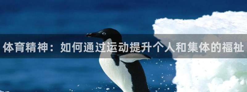 JJB竞技宝官方正版app娱乐40996：体育精神：