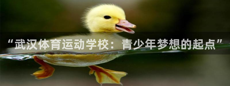 JJB竞技宝官网下载平台是正规平台吗知乎：“武汉体育
