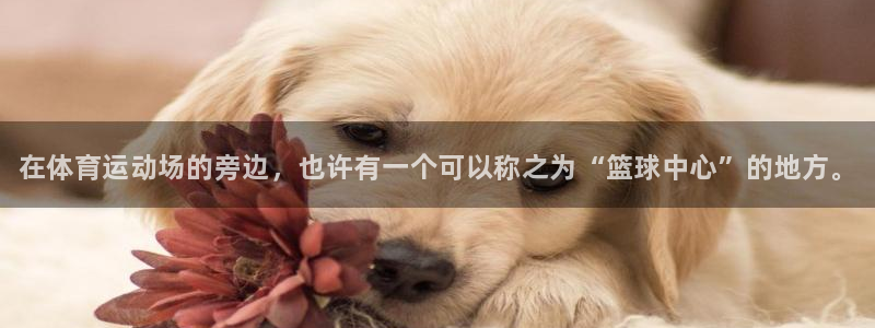 JJB竞技宝官方正版app官方：在体育运动场的旁边，