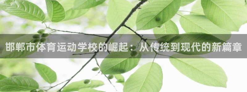 JJB竞技宝官网下载注册：邯郸市体育运动学校的崛起：从传统到