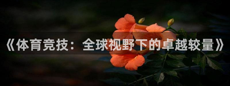 JJB竞技宝官方正版app开户：《体育竞技：全球视野下的卓越