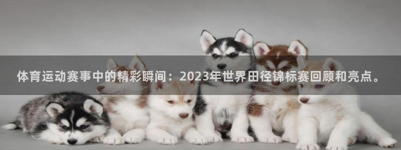 JJB竞技宝官方正版app娱乐代理怎么样：体育运动赛