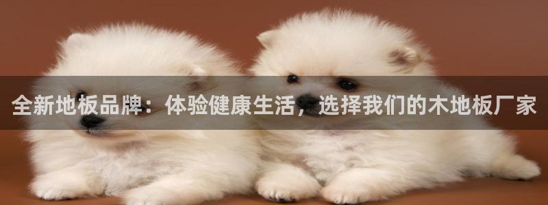 JJB竞技宝官网下载娱乐：全新地板品牌：体验健康生活，选择我